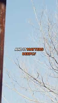 Missing People in the Woods A Creepy Story