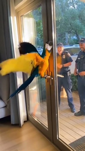 Format it as a screenplay (proper script formatting)Turn it into a short film