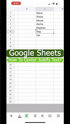 How to Center Text in Google Sheets Mobile?