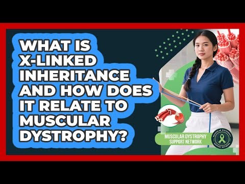 What Is X-linked Inheritance And How Does It Relate To Muscular Dystrophy?