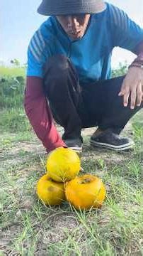 Survival Skills: SMART idea and USEFUL with villages life #bushcraft #camping #outdoors #new