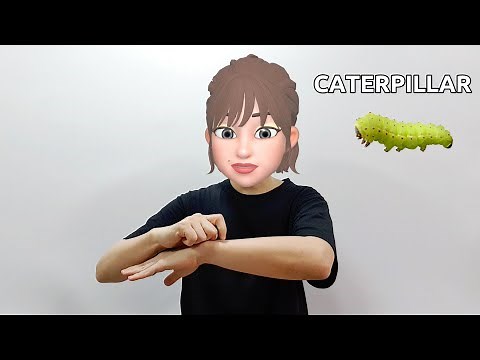 American Sign Language (ASL) Lesson: Caterpillar