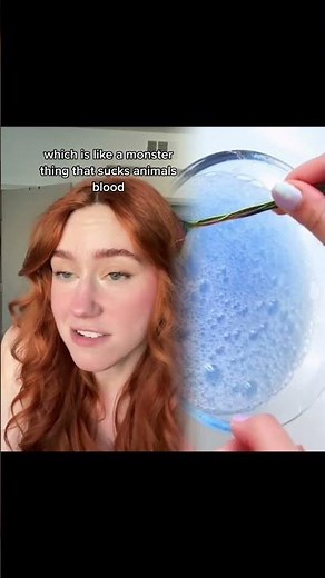 #greenscreen who thought this was a good idea #peliroja❤️👩🏻‍🦰 #latina #latinostiktok #nepotismbab