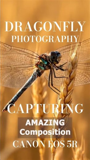 Canon R5 + 100mm Macro Lens = STUNNING Dragonfly Photography