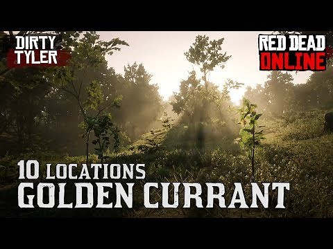 Golden Currant Locations for Daily Challenges - Red Dead Online (RDR2)
