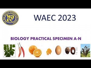 WAEC BIOLOGY PRACTICAL SPECIMEN - 2023