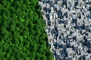 What Is a Circular Economy? | IBM