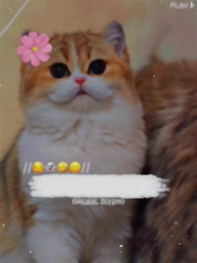 Tag Your Friend for a Good Laugh!