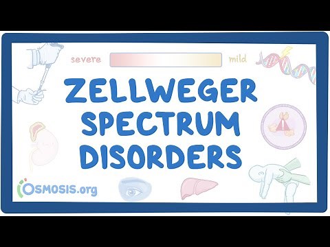 Zellweger spectrum disorders (NORD)