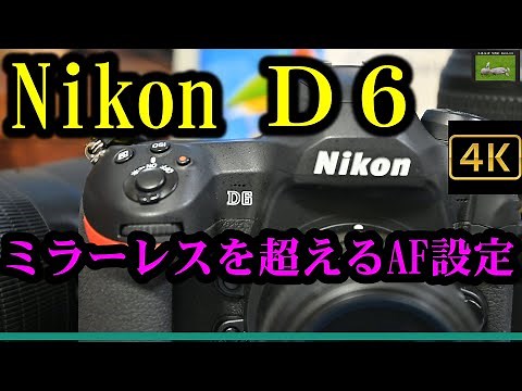 ミラーレスを超えるAFとは？ Nikon D6の詳細設定。