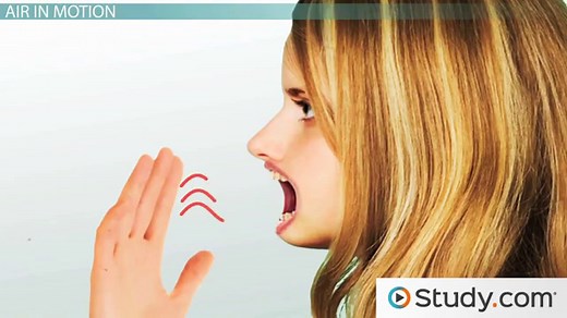 Pressure Gradient Force & Coriolis Effect | Overview & Examples