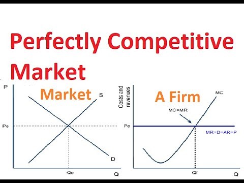 Chapter-4: Perfectly Competitive Market Structure