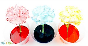 Color Changing Flowers Experiment for Kids