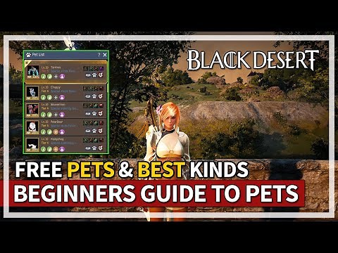 Beginners Guide to Pets & Best Types to Get | Black Desert
