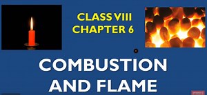 Combustion and Flame Class 8 Notes, Question Answers