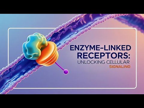 Enzyme Linked Receptors/ Receptor tyrosine kinases/ Cell Signaling