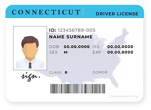 Connecticut Driver License | License Lookup