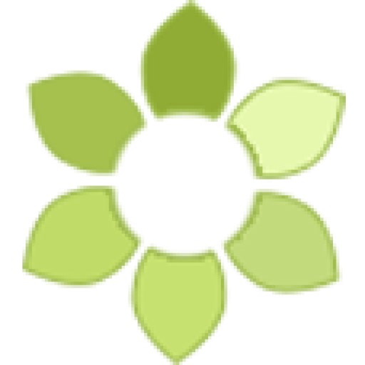 Do Maple Trees Grow In Coloado