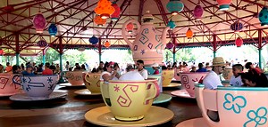 Mad Tea Party - DISNEY WORLD – MAGIC KINGDOM