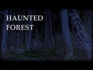 Haunted Forest Sounds | Ghost Sounds | Ambience Sounds