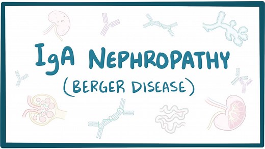 IgA nephropathy (NORD): Video, Causes, & Meaning | Osmosis