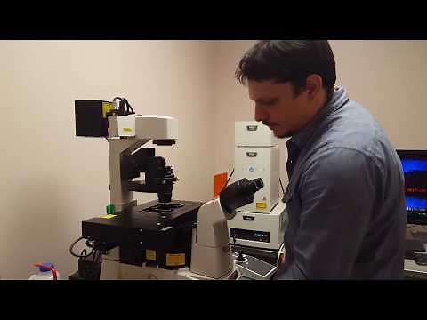 Confocal Microscopy Tutorial (Part 1): Getting Started - Basic Operation
