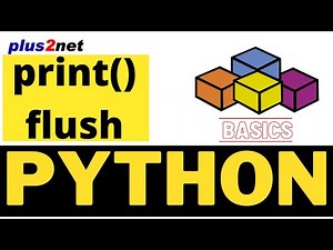 Python print output with flush option to clear the buffer with example using timer