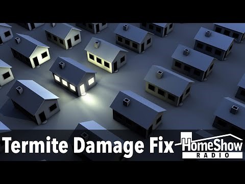 How should we repair subfloor termite damage?