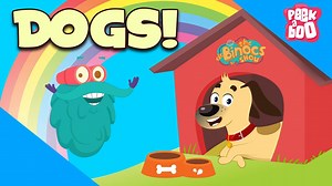 17K views · 220 reactions | You may be a Dog lover or even otherwise, but how well do you know dogs? Watch out the video as Dr. Binocs explains a very interesting fact about Dogs in this video. | Peekaboo | Facebook