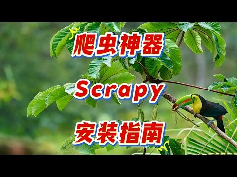 How to Install Python Scrapy? 2 Methods with Anaconda!