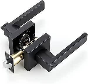 Ravinte 10 Pack Heavy Duty Door Lever Door Lock Square Door Handles Right Left Handing Lever Set Matte Black Finish Entry Door Levers Front and Exterior Door Handle Set (Not Keyed Alike)