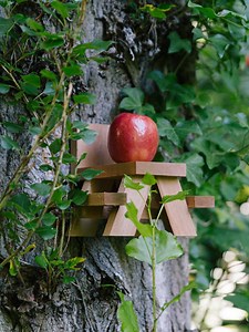 25 DIY Squirrel Feeder Plans: Do It Yourself Easily