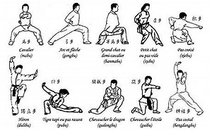 kung fu stances - Shaolin Temple China