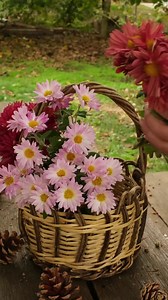 Gift Basket Ideas: 475 DIY Inspiration Guide (digital PDF) - Etsy Canada