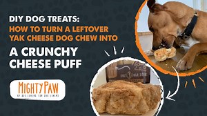 DIY Dog Treats: How to Turn A Leftover Yak Cheese Dog Chew Into A Crunchy Cheese Puff