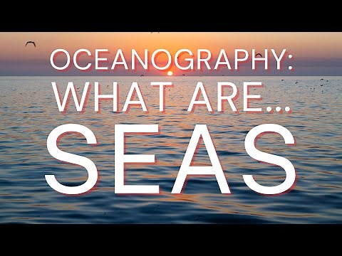 Explaining The Difference Between An OCEAN & A SEA