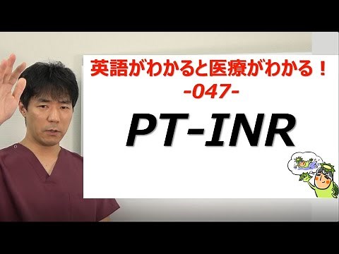 PT-INRって何ですか？