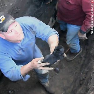 264K views · 3.1K reactions | A screaming puppy is heard from an underground pipe – so these guardian angels immediately start digging ... ❤️ | We Love Animals | Facebook