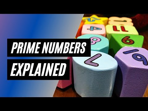 Prime Numbers Explained | The Basics of Prime Numbers