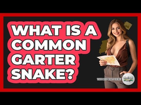 What Is A Common Garter Snake?