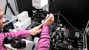 Dual-Color Fluorescence Cross-Correlation Spectroscopy to Study Protein-Protein Interaction and Protein Dynamics in Live Cells