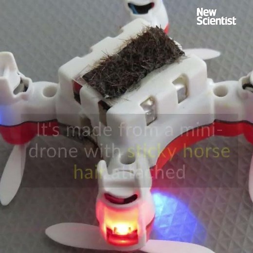 Robotic bee pollinates flowers