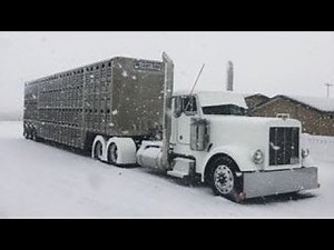 BIG Old DIESEL TRUCK ENGINES Cold Start and Sound