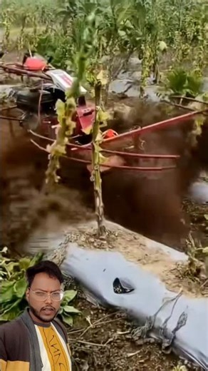 “Unbelievable! 😲 In China, Driverless Machines Cut Vegetable Plants Automatically!”