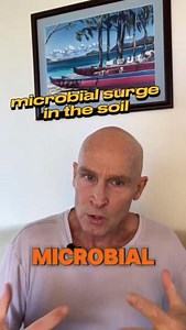 13 reactions | Spring into action with Dr. John Douillard's Ayurvedic Spring Wellness Routine. Learn Dr. John's personal routine at LifeSpa.com. #johndouillard #lifespa #ayurveda #naturalheath | Dr. John Douillard | Facebook