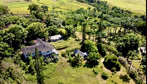 Ottley's Plantation Inn - 34.15 Acres - St Kitts Nevis Realty