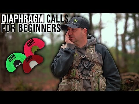 How to use a Diaphragm Turkey Call for BEGINNERS!