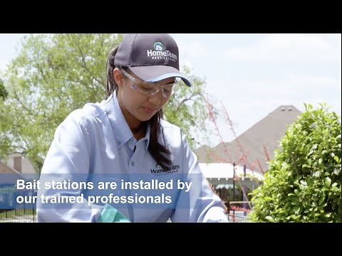 Termite Control and Monitoring Service