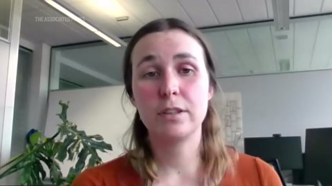 Caught on camera, capuchin monkeys kidnap howler monkey babies