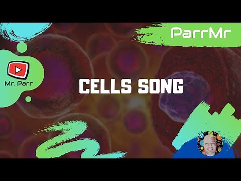 Cells Song